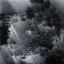 obscurantism-xd