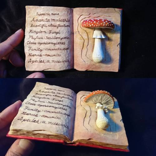 オーダー作品のミニサイズmushroombook。 訳あって去年の年末からお待たせしていたので通常１週間位で仕上がりを3日で完成。 (ちなみに、本のページがボロボロのアイデアは、去年のミニmushro