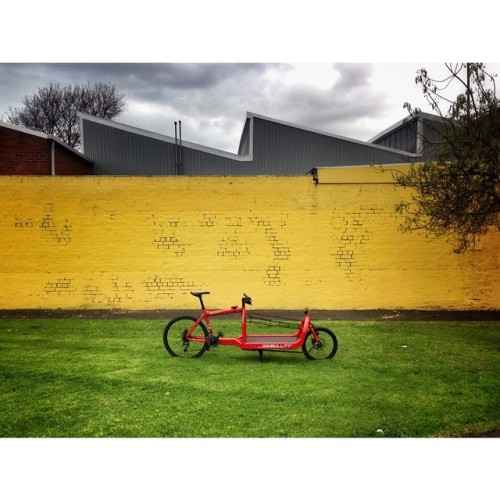 joshemei: #Colorgasm #bullittbike #cargobike #melburn #messlife #cargonecourier #cargonecouriers #co