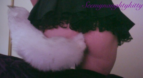 ~ Tails Up Tuesday!  adult photos