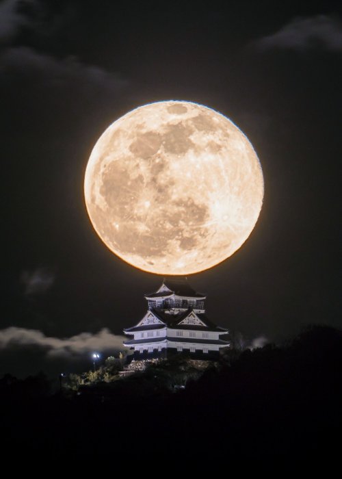 tanuki-kimono:Full moon over Inabayama-jo (castle of Gifu), fantasy-feeling for those breathtaking p