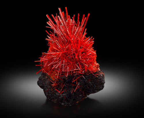hematitehearts: Crocoite on Matrix Size:15 cm x 11 cm x 11.5 cm Locality:The Adelaide Mine, Dundas M