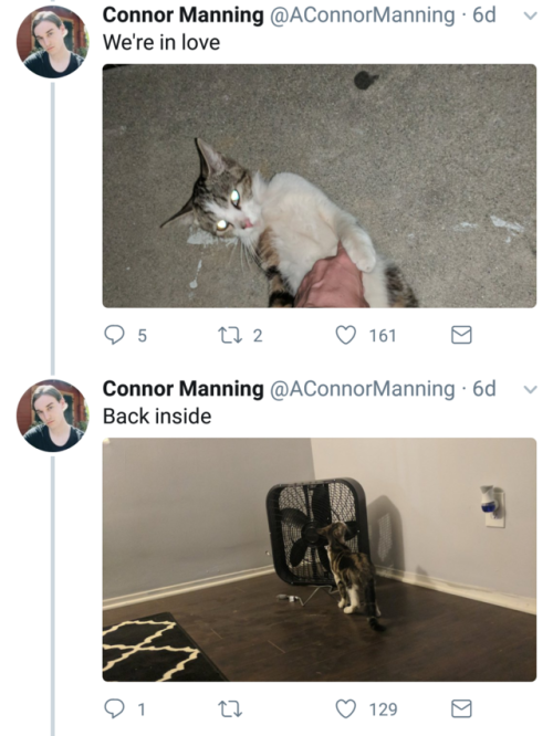 falling-towards-the-skyy: naamahdarling:  aconnormanning: so i have a cat now I am such a sucker for a good love story!   @ellie-in-wonderland  