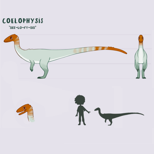 Meet the Paleo Pines Coelophysis! Coelophysis is a swift and flighty companion dino which are notori