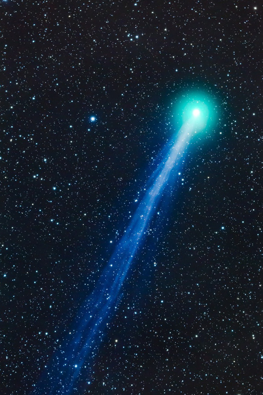 italian-luxury:  Comet Lovejoy by Alan Dyer  i love this 