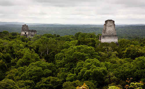 The ancient Maya and Star WarsThe Mayan city-state and so called Mesoamerican superpower Tikal locat