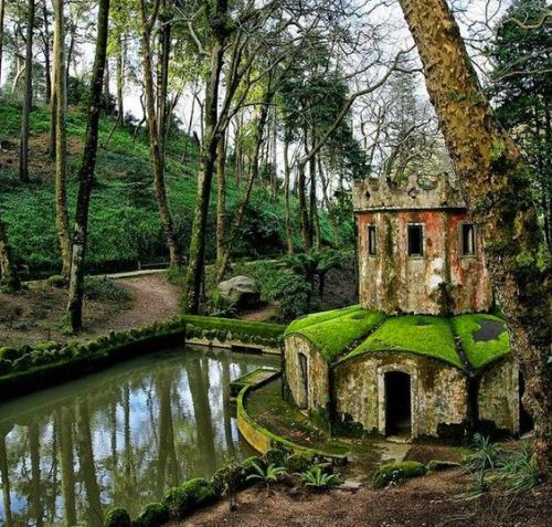 sweetestesthome:  Not a tree house, but a very cool and old house in the trees. An old settlement in the Scottish Highlands. 