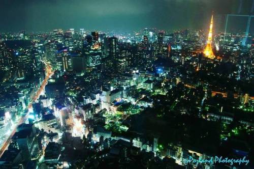 Tokyo Top Down - #tokyo #japan #asia #roppongi #moritower #cityscape #night #darkness #darksky #nigh