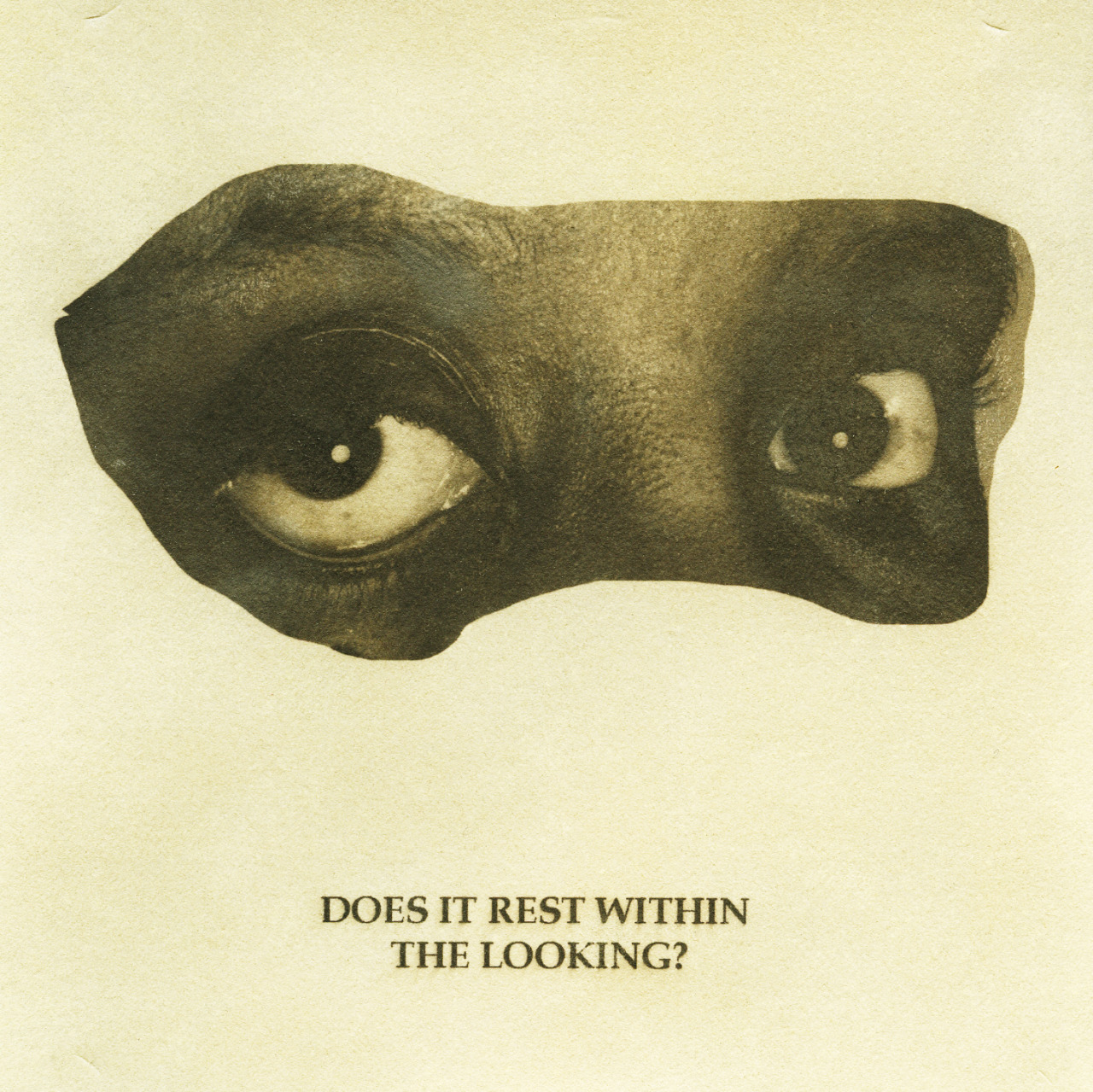 shala-miller:  Asking About Desire, 2015 gum bichromate prints and kallitypes 