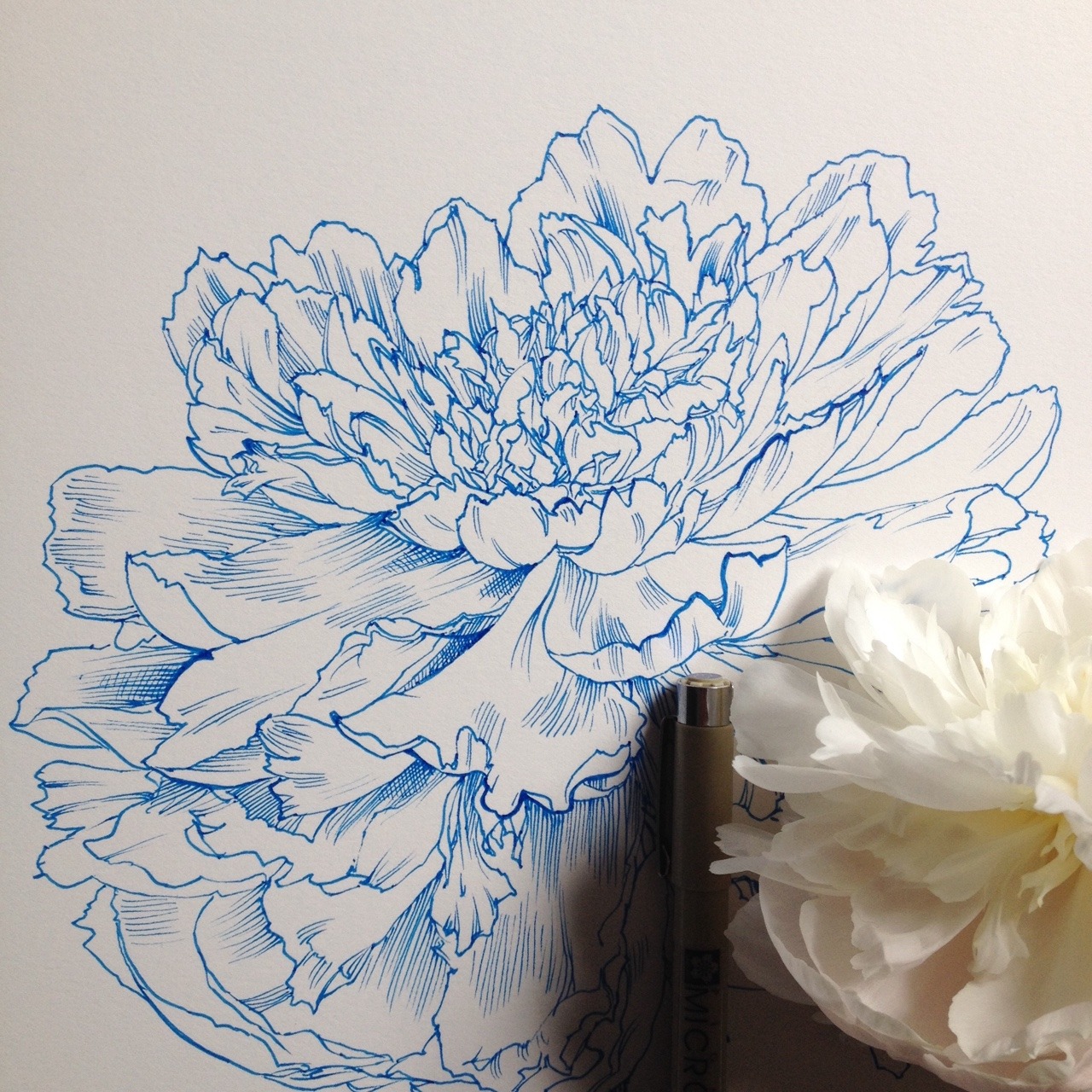 noelbadgespugh:  blue progress