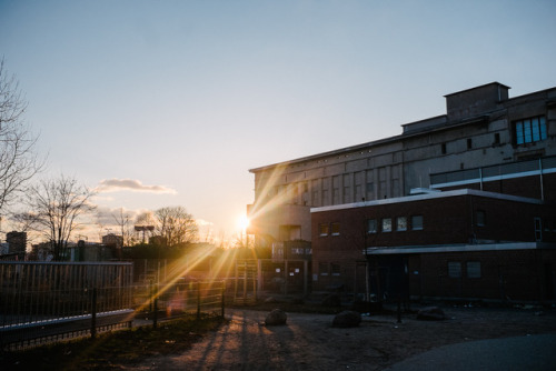 Golden Winter SunBerlin Friedrichshain, February 2018