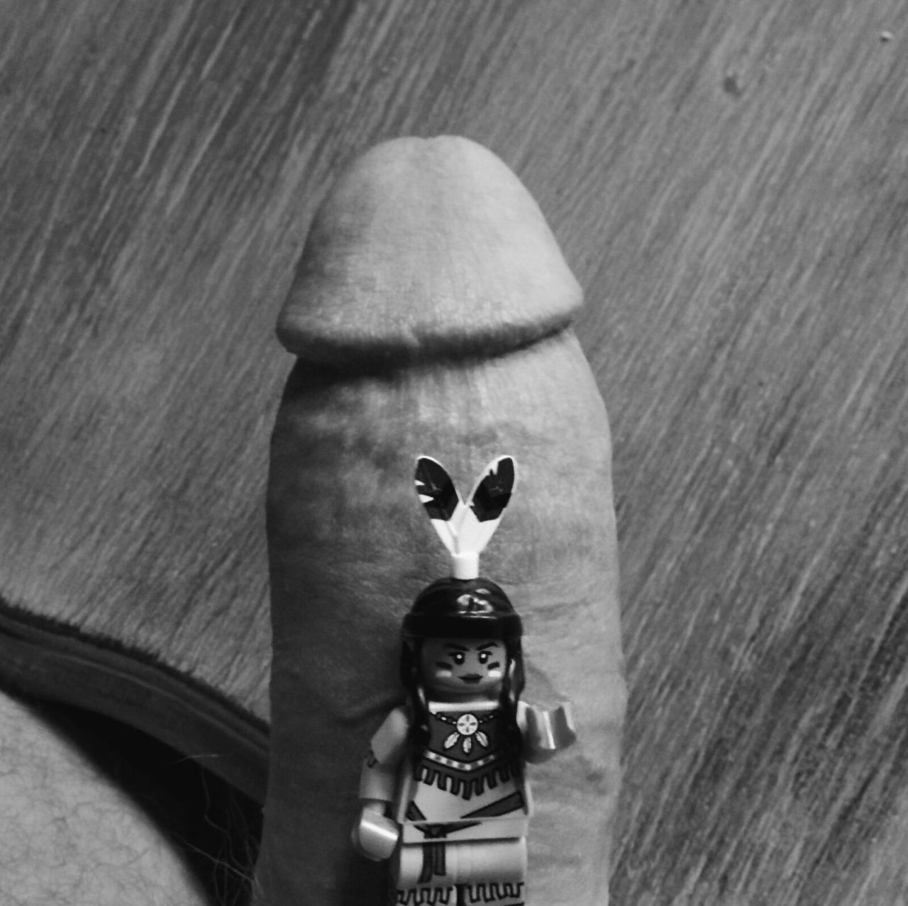 legoallegory:   // feathers  submitted by anon 