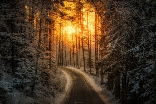 te5seract:Shining Through & Beyond byLauri Lohi