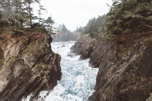 ourspacebetween:  samelkinsphoto:From a weekend excursion to the Oregon CoastBeautiful.