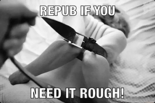 Repub Of You Need It ROUGH!