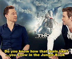 mishasteaparty:Could you handle being brothers in real life?Chris: He’s a wolf. He’s a wolf now. x