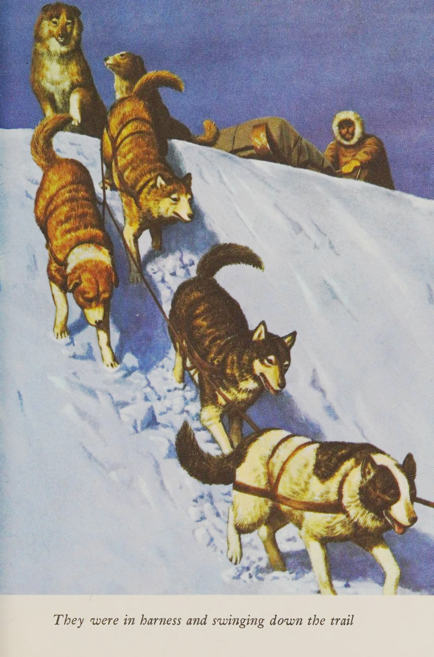 From the Call of the Wild by Jack London (1981 Illustrated Junior Library Edition), illustrated by Kyuzo Tsugami