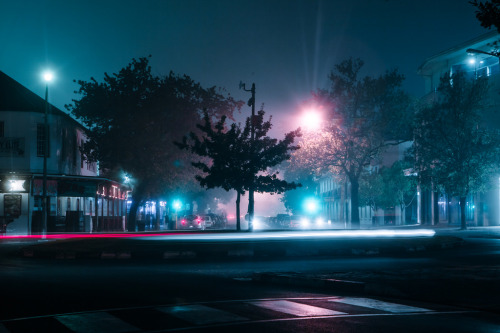 foxmouth:  Neon Nights, 2016 | by Elsa Bleda
