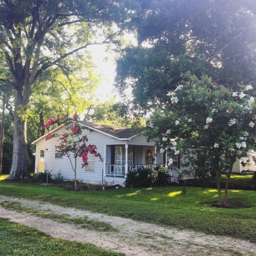 Spent a lot of time working outside this weekend. Trimmed the crepe myrtles, push mowed the grass, c