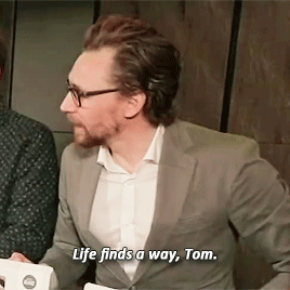 downeystarks:Tom Hiddleston trying to deal with the pupbonus: