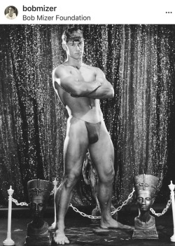 Ajockripens:  
