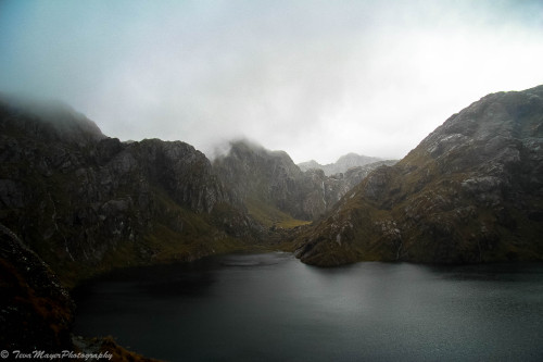 Harris Saddle StudyRouteburn Great Walk, New Zealand