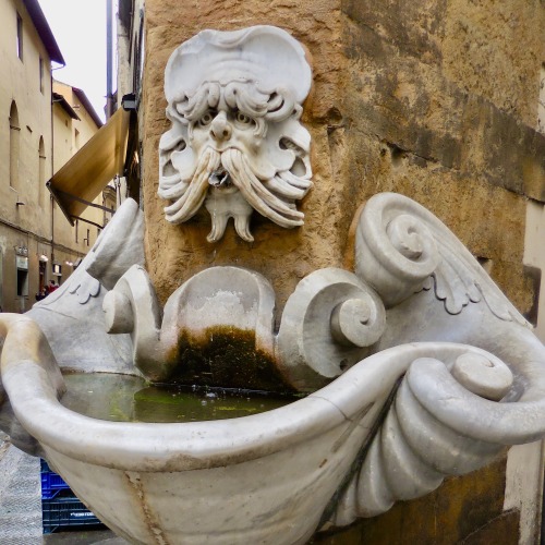 Fontana, Firenze, Toscana, 2019