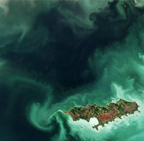 Reindeer IslandAstronaut Chris Hadfield took this photo of Reindeer Island a few years ago when he w