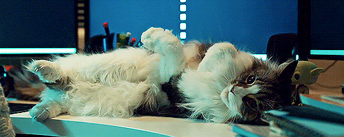 tser:Purrrrrrrrrrr