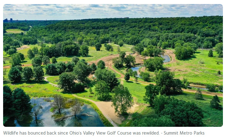 Cognitive Justice on Tumblr: Abandoned golf courses are being reclaimed