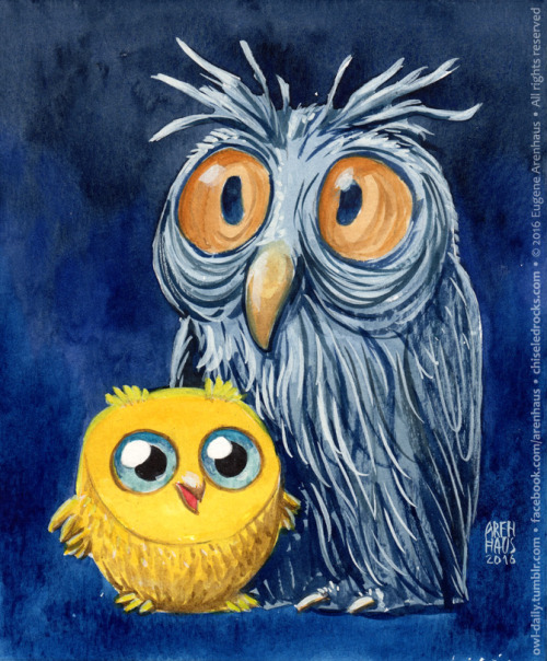 №465: Young owl and old owl.