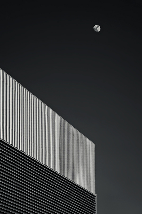 fiore-rosso:  jorge schramm | plant and moon. 
