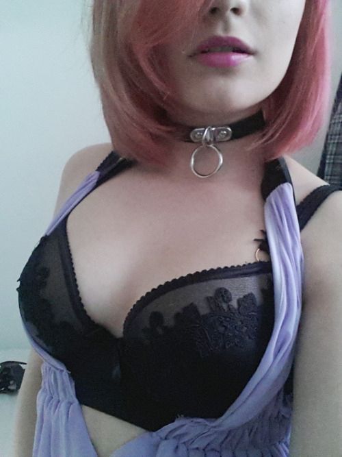 masterscat:  About to go on webcam, meow. My boobies look huge in this bra!  That smirk!!