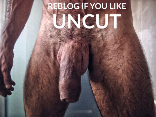 Yah love uncut cock.