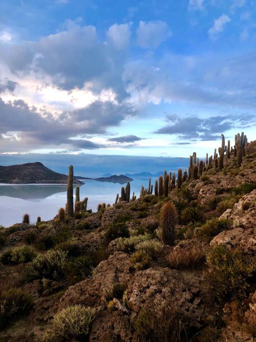 utwo: THE KACHI LODGEin the remote corners of the world, an hour flight from la Paz, Bolivia offers 