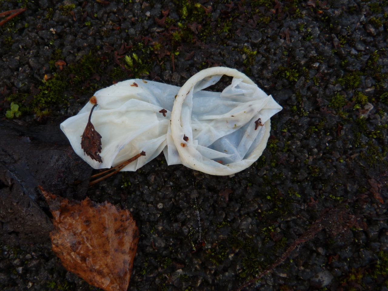 throwncondom:  Angleur, petit parking près du centre sportif, novembre 2014.  D’habitude,