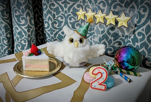 Feh is celebrating her two year anniversary and this time around she’s going to enjoy her cake