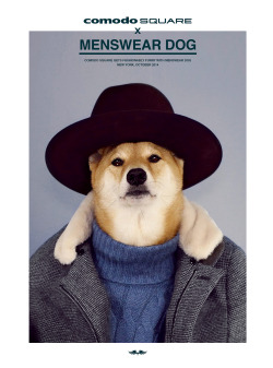 mensweardog:  Urban Gentleman Menswear Dog layers up in Comodo Square&rsquo;s FW 2014 collection that captures the essence of a gentle protector who&rsquo;s just as sincere as he is stylish. Check out their full collection over at www.comodo.co.kr or