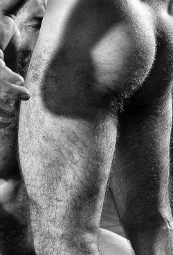 hairyhotman:  http://hairyhotman.tumblr.com/