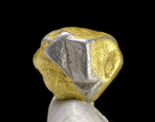 fuckyeahcrystals: bijoux-et-mineraux: Native Platinum crystals covered in Gold A perfect specimen of