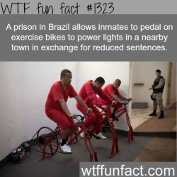 wtf-fun-factss:  MORE OF WTF FACTS are coming