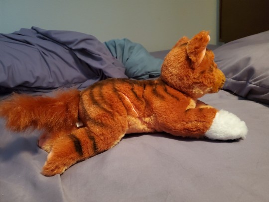 Firestar Large Plush Cat