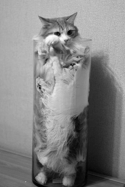 Keep away