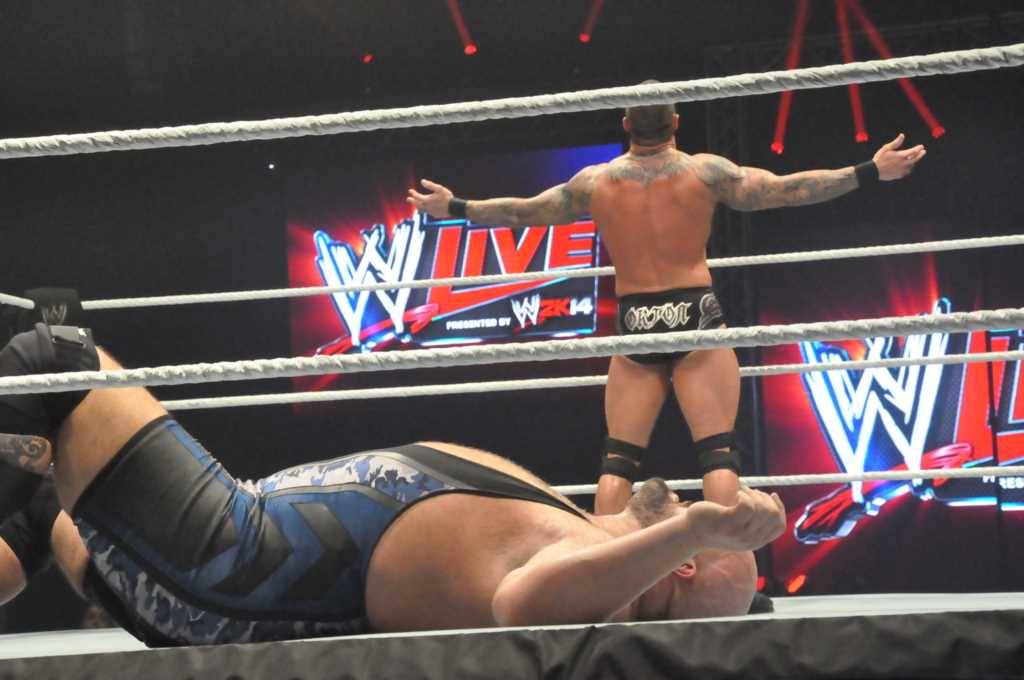 rwfan11:  Orton Vs BigShow (not my pics)