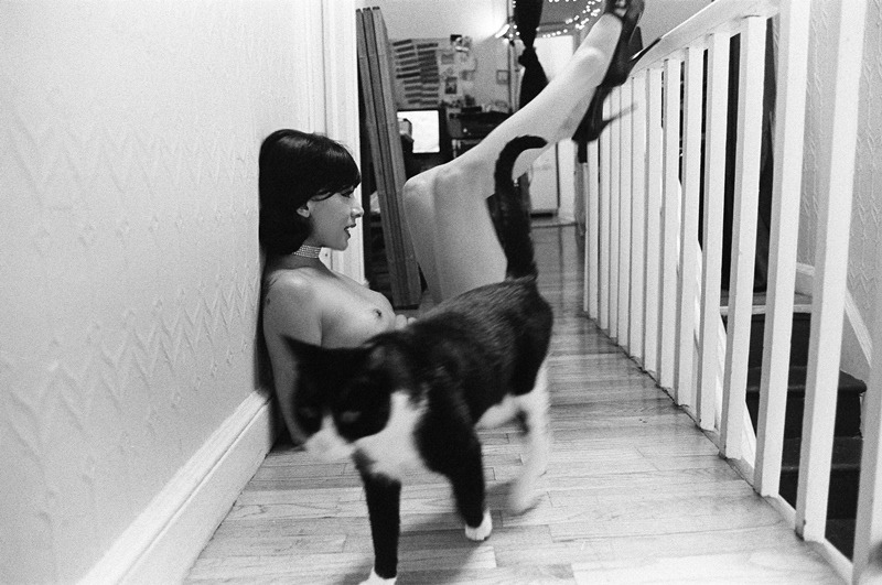 tanyadakin:  Here Kitty - © April-lea Hutchinson 