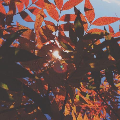 awesomephotoinspo