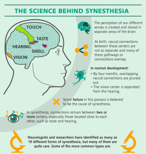 psicologicamenteblog: Source: Understanding the phenomenon of synesthesia. Follow Francesca Mura on&