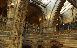 ancient-serpent:  Gargoyles by roodpa Natural History Museum, London 