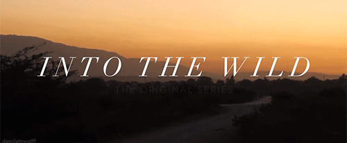jaredleto:  It’s finally here. Thx for your support, for believing, + being part of our crazy family. - http://bit.ly/VyRTIntoTheWild  
