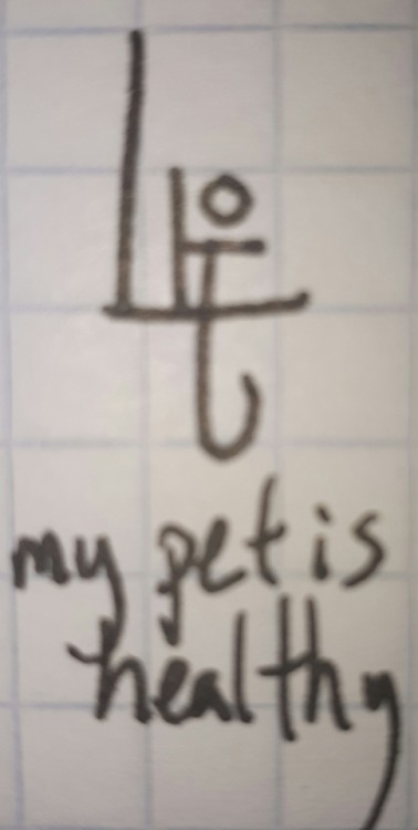 “My pet is healthy”Draw this sigil on something related to what is worrying you (ie on